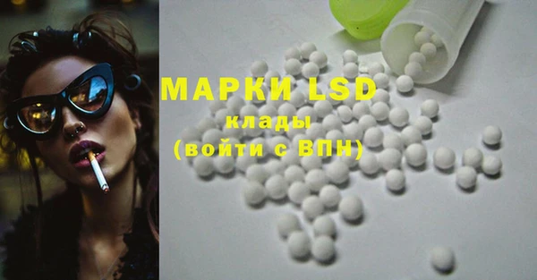 крисы Верхний Тагил