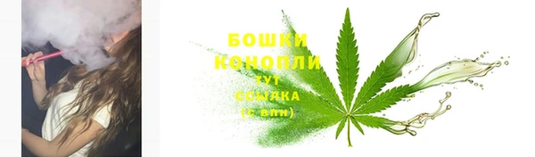 крисы Верхний Тагил
