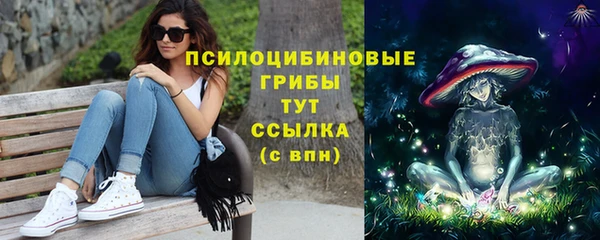 винт Верея