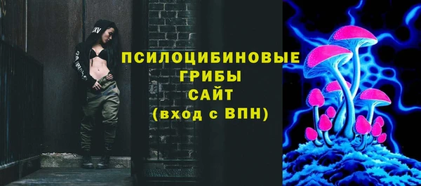 крисы Волоколамск